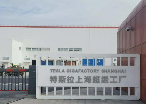 特斯拉價格再迎調整，產能瓶頸與上海技術布局交織前行